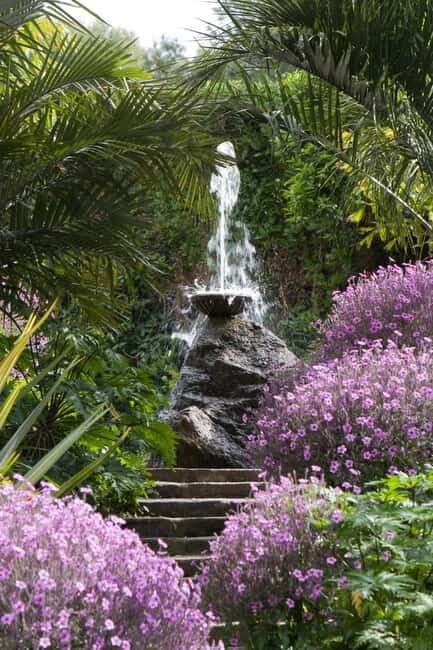 From Naples: Ischia and La Mortella Gardens Day Trip - A Practical Guide to the Ischia and La Mortella Gardens Day Trip