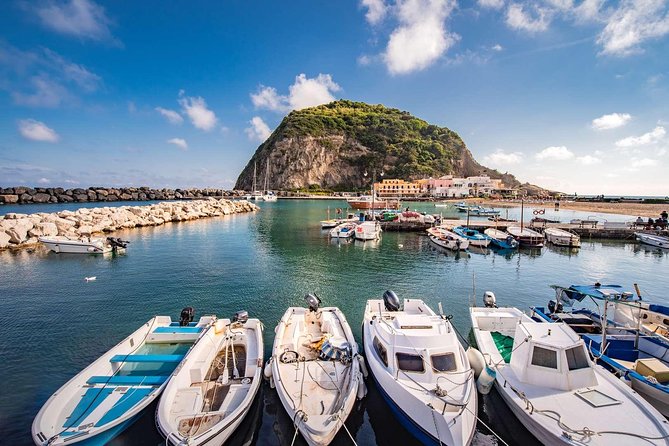 From Naples: Ischia Island Day Trip With Lunch - Highlights of the Day Trip