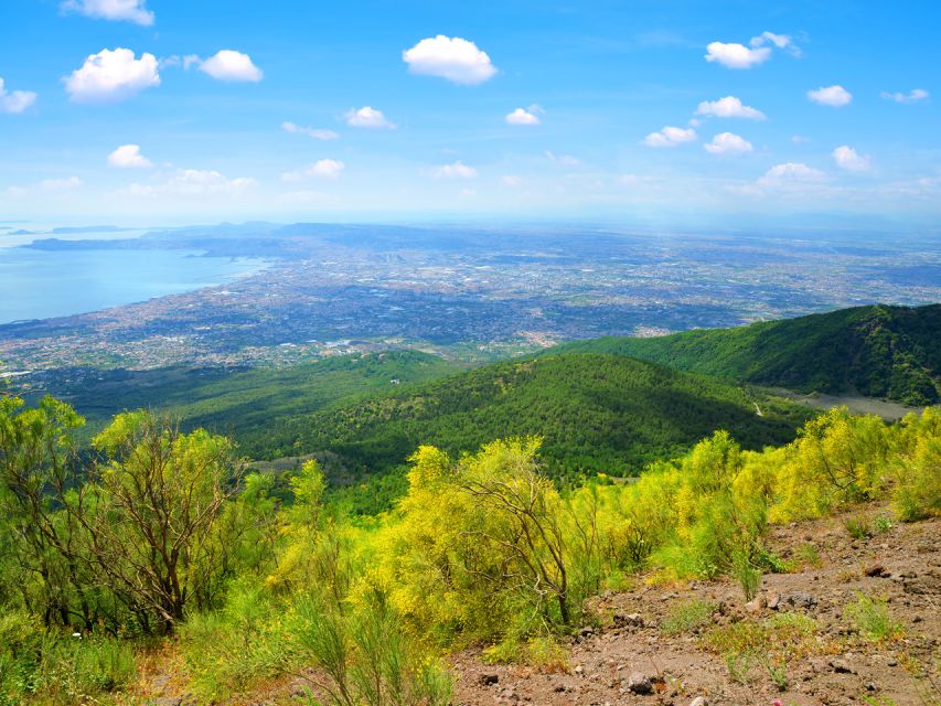 From Naples: Mount Vesuvius and Pompeii Ruins Combo Day Trip - Key Points