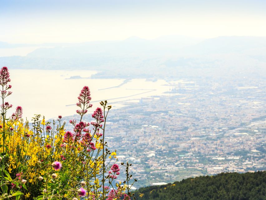 From Naples: Mount Vesuvius and Pompeii Ruins Combo Day Trip - Inclusions and Exclusions