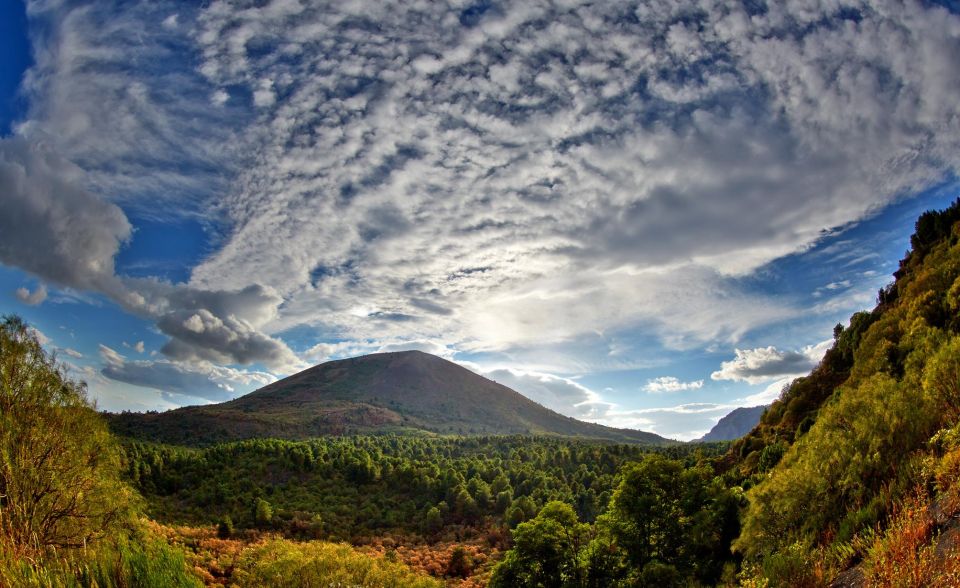 From Naples: Mount Vesuvius Half-Day Tour With Lunch - Pickup and Drop-off