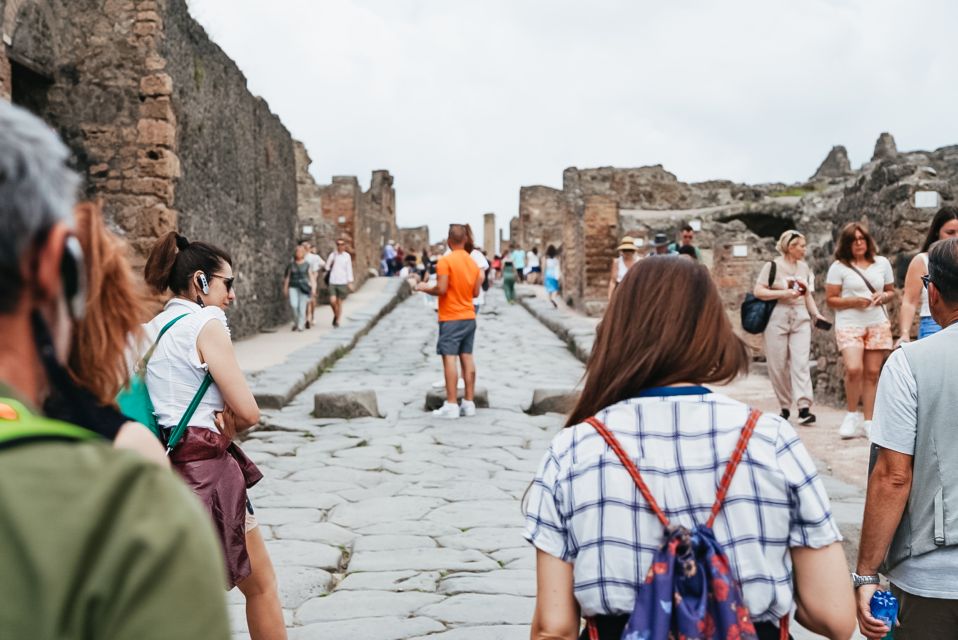 From Naples or Sorrento: Pompei Half-Day Tour - Customer Reviews and Ratings