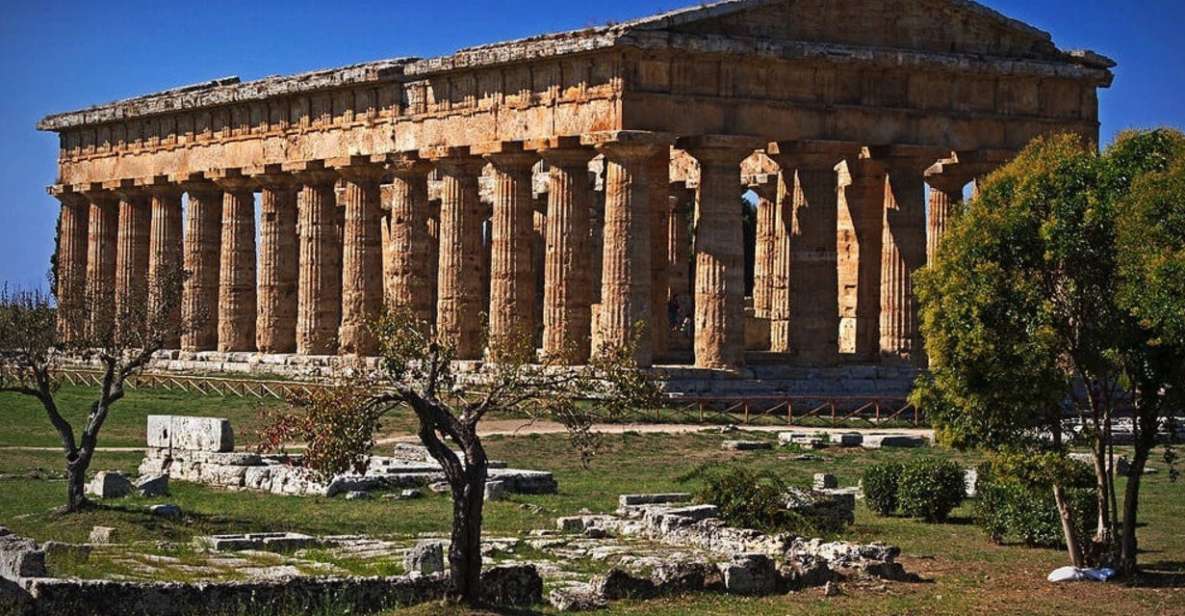 From Naples: Paestum Day Trip With Mozzarella Tasting - Key Points