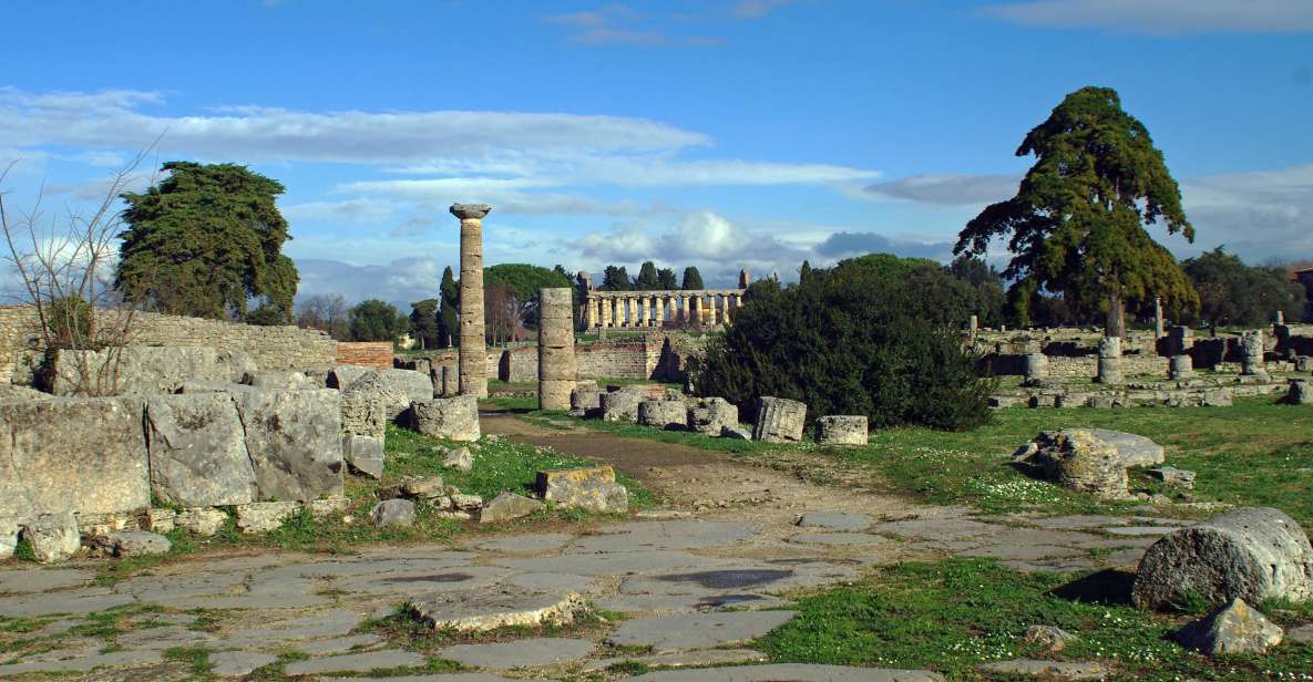 From Naples: Paestum Tour With Train - Guided Tour Highlights