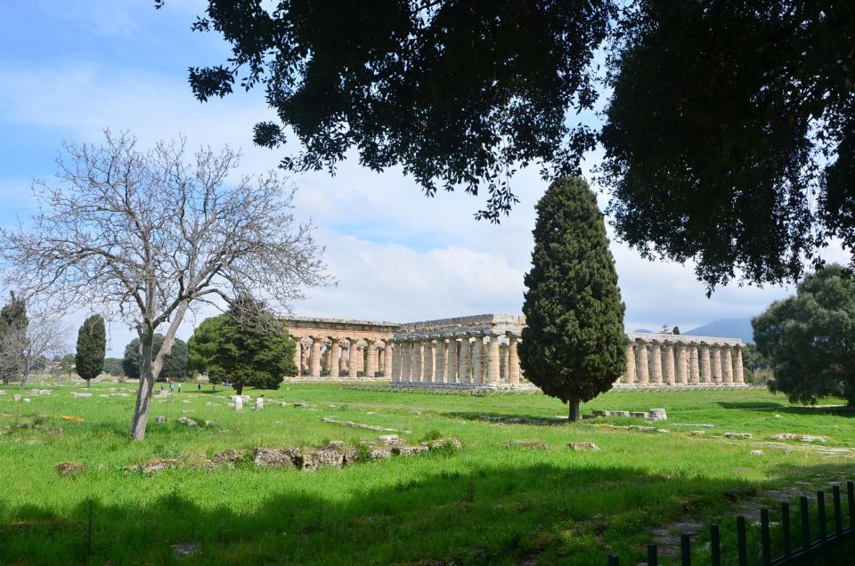 From Naples: Paestum Tour With Train - Train Journey Information