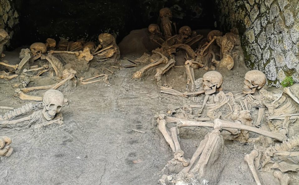 From Naples: Pompeii and Herculaneum Half-Day Private Trip - Experience Highlights