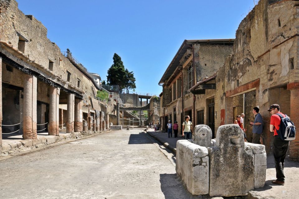 From Naples: Pompeii and Herculaneum Tour With Lunch - Key Points