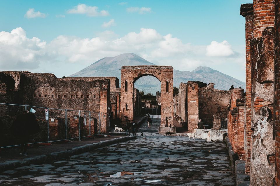 From Naples: Pompeii and Herculaneum Tour With Lunch - Highlights of Pompeii