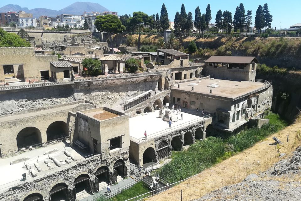 From Naples: Pompeii and Herculaneum Tour With Lunch - Herculaneum Ruins Visit