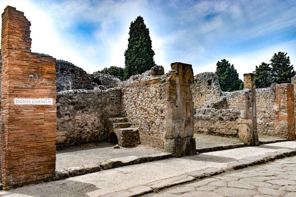 From Naples: Pompeii and Vesuvius Tour With Lunch - Panoramic Gulf Views