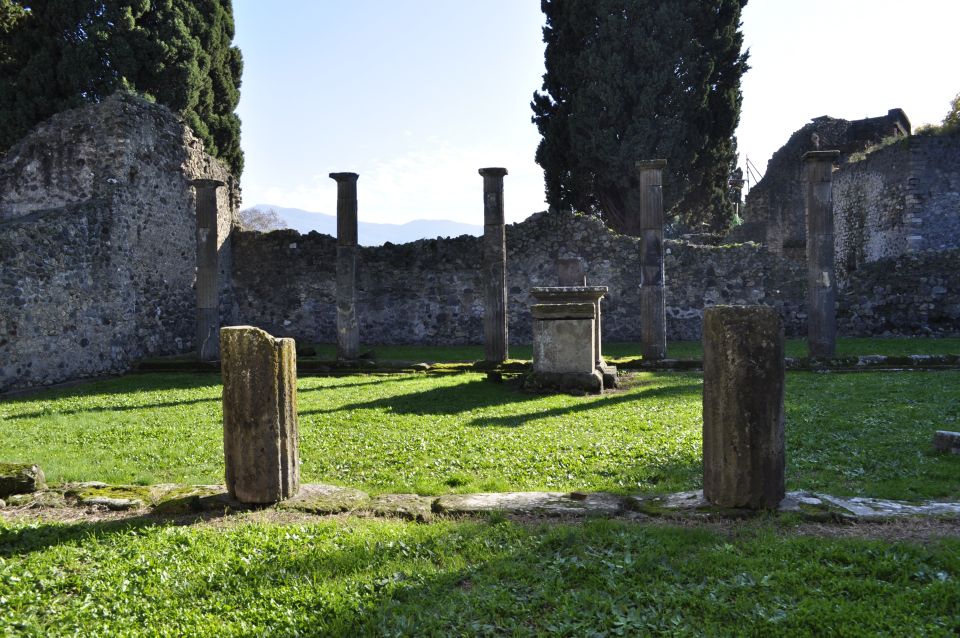 From Naples: Pompeii and Wine Tasting Tour With Lunch - Wine Tasting Experience