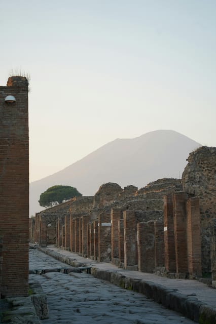 From Naples: Pompeii, Herculaneum, and Vesuvius Private Tour - The Logistics: Comfort, Convenience, and Cost
