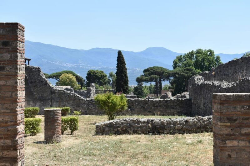 From Naples: Pompeii, Herculaneum, and Vesuvius Private Tour - The Sum Up: Why This Tour Can Hit the Mark