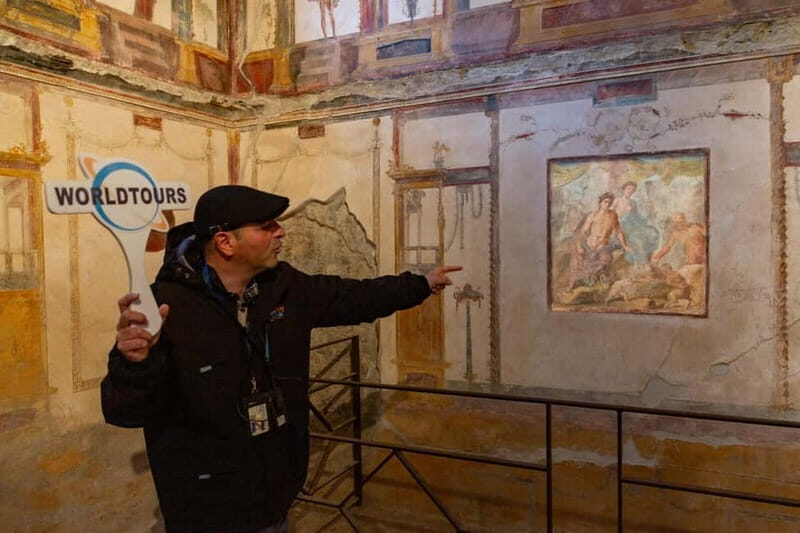 From Naples: Pompeii Private Tour with Transfer and Guide - Who Should Consider This Tour?