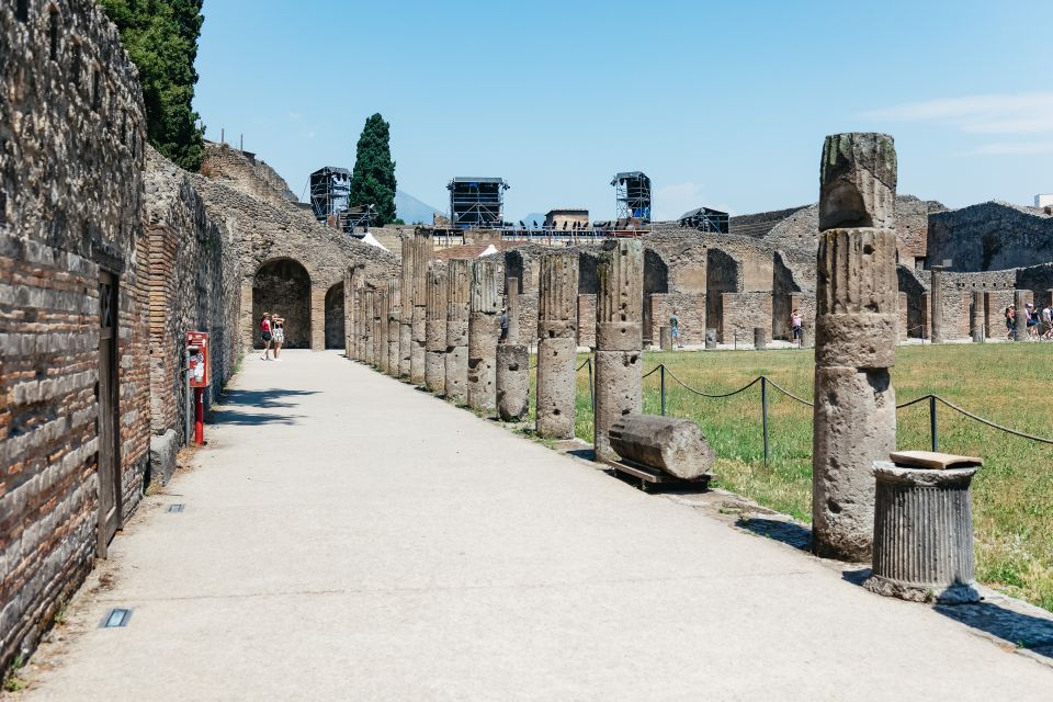 From Naples: Pompeii Ruins & Mount Vesuvius Day Tour - Key Points