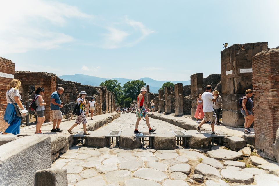 From Naples: Pompeii Ruins & Mount Vesuvius Day Tour - Important Information