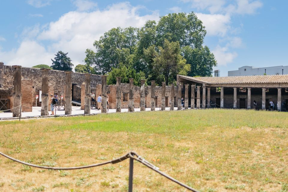 From Naples: Pompeii Ruins & Mount Vesuvius Day Tour - Visiting Mount Vesuvius