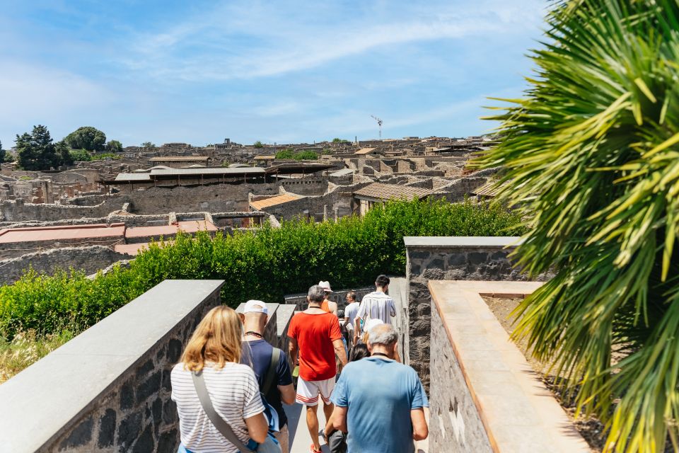 From Naples: Pompeii Ruins & Mount Vesuvius Day Tour - Recap
