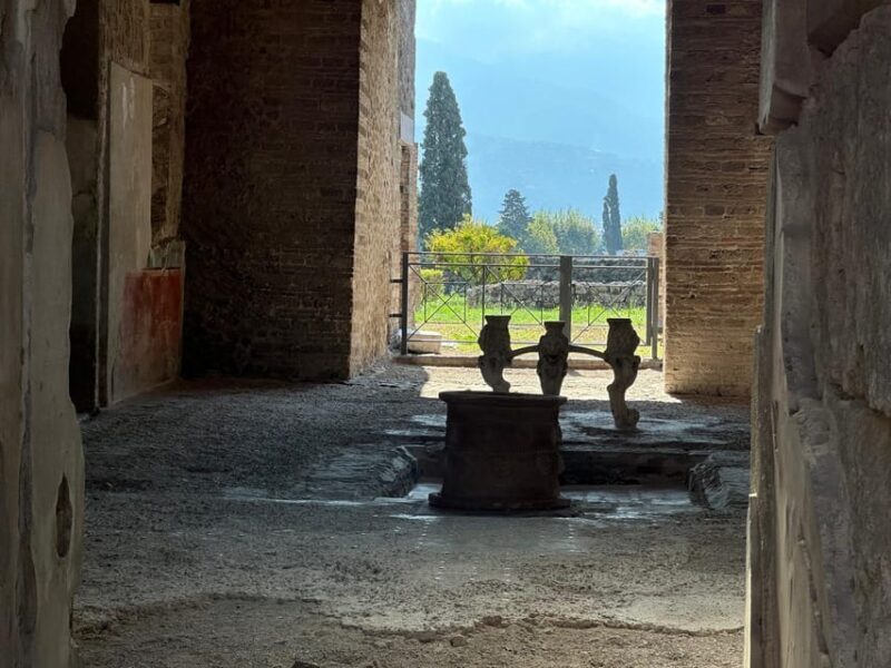 From Naples: Pompeii Ruins & Naples Walking Tour - Starting Point: Napoli Centrale Station  