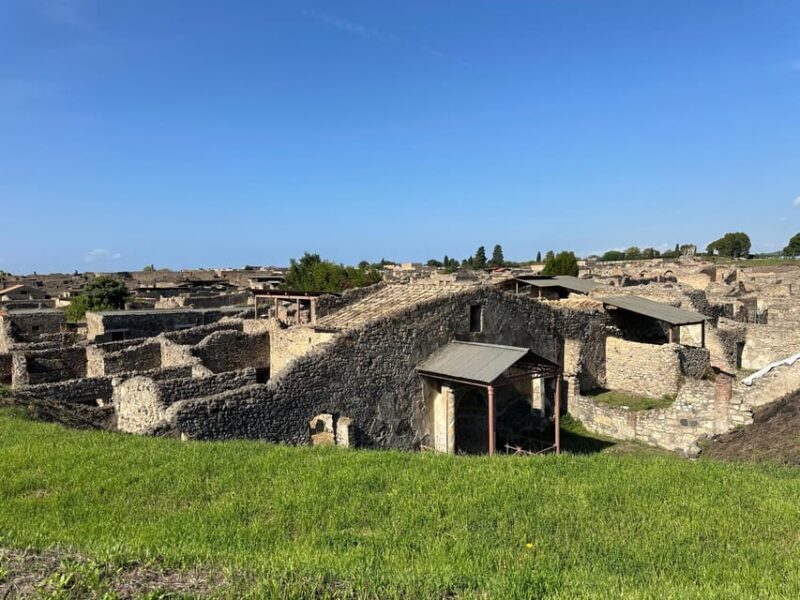 From Naples: Pompeii Ruins & Naples Walking Tour - Exploring Pompeii: A Journey Back in Time  