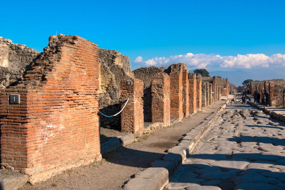 From Naples: Pompeii Skip-the-Line Guided Tour - Pricing and Booking Information