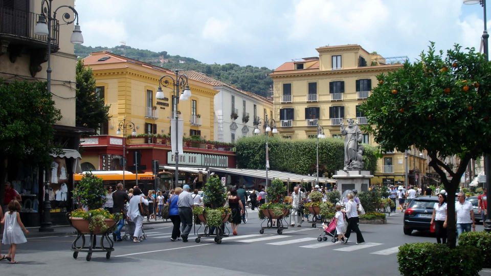 From Naples: Pompeii, Sorrento, and Amalfi Coast Tour - Flexibility and Cancellation