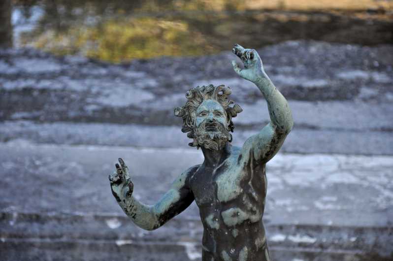 From Naples port_Private Tour of Pompeii and Sorrento - Who Will Love This Tour?