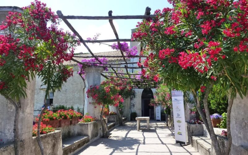 From Naples: Sorrento and amalfi coast, lunch included - Key Points
