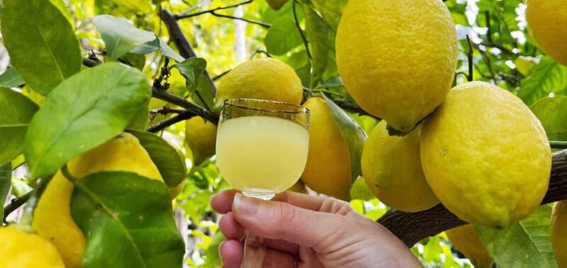 From Naples: Sorrento and Positano Private Day Tour - What Makes This Tour Valuable?
