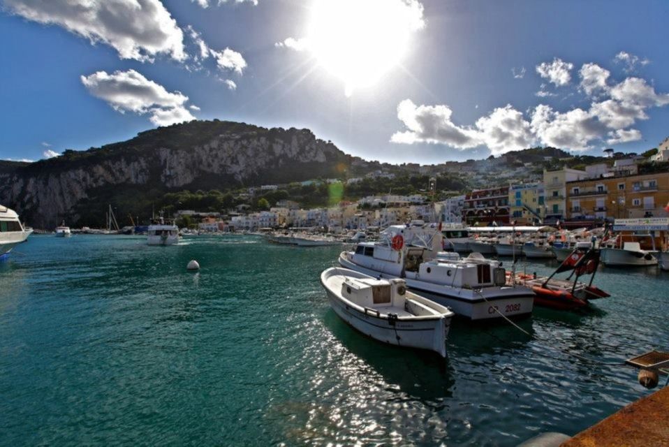 From Naples/Sorrento: Pompeii & Capri Full-Day Private Tour - Customer Testimonials