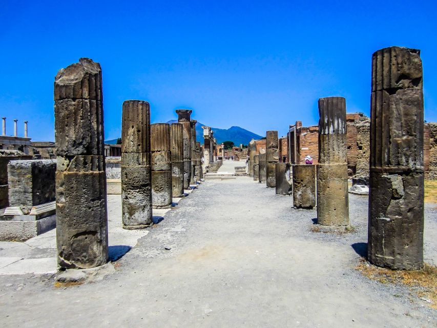 From Naples/Sorrento: Pompeii & Capri Full-Day Private Tour - Recap