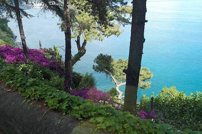 From Naples to Sorrento, Positano, Amalfi and Ravello Tour - Who Should Book This Tour?