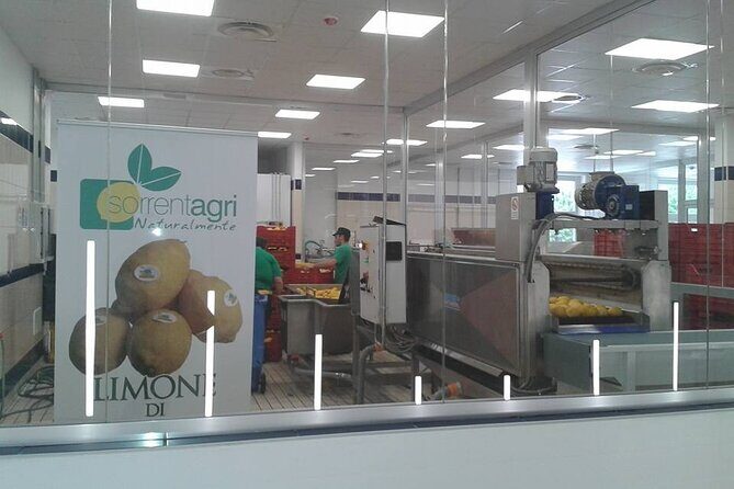 From Naples to Sorrento, Positano, Amalfi and Ravello Tour - Final Thoughts