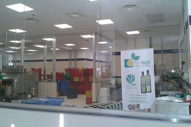 From Naples to Sorrento, Positano, Amalfi and Ravello Tour - FAQs