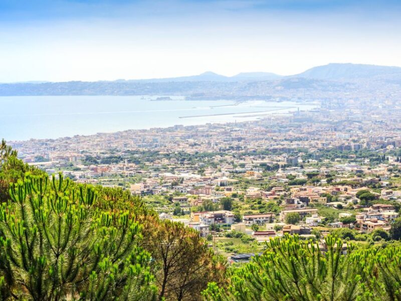 From Naples: Vesuvius & Pompeii with Transfer & Audio Guide - Key Points