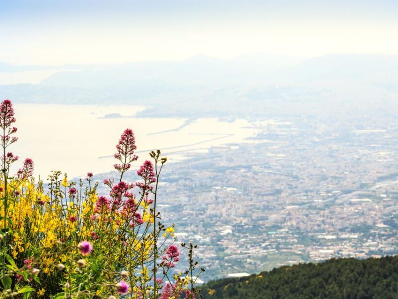 From Naples: Vesuvius & Pompeii with Transfer & Audio Guide - Practical Tips for Travelers