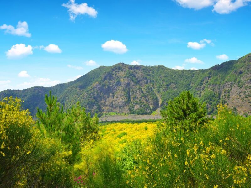 From Naples: Vesuvius & Pompeii with Transfer & Audio Guide - Final Words