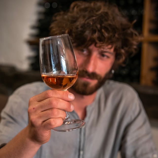 From Naples: wine experience and visit of Fontanarosa - Who Will Love This Tour?