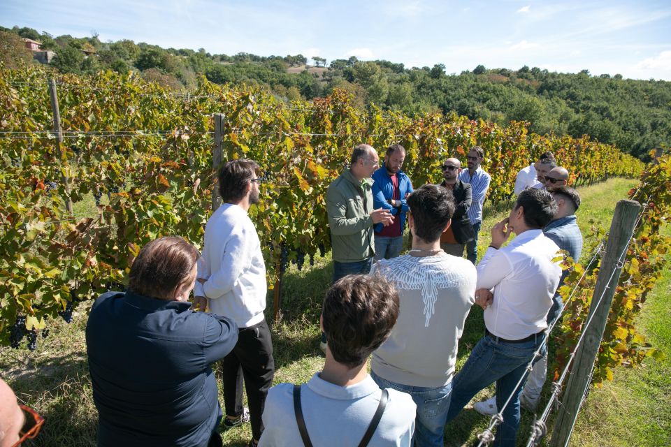 From Naples: Wine Experience and Visit of Fontanarosa - Payment Information