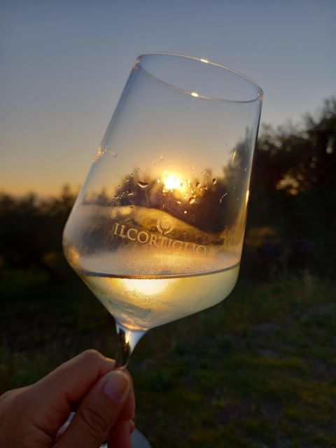 From Naples: Wine Experience and Visit of Fontanarosa - Highlights of the Tour