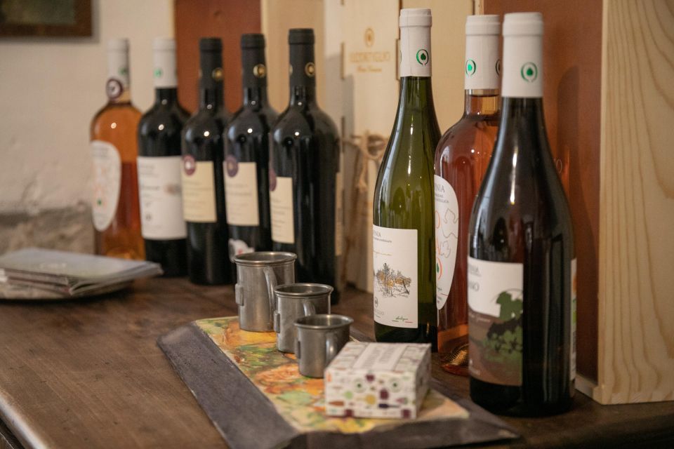 From Naples: Wine Experience and Visit of Fontanarosa - Exclusions and Restrictions