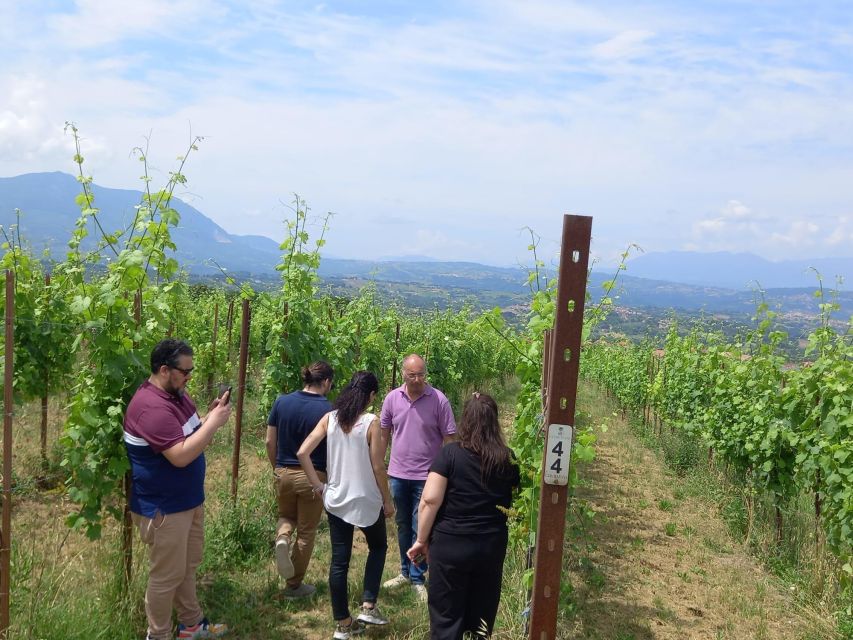 From Naples: Wine Experience and Visit of Fontanarosa - Frequently Asked Questions