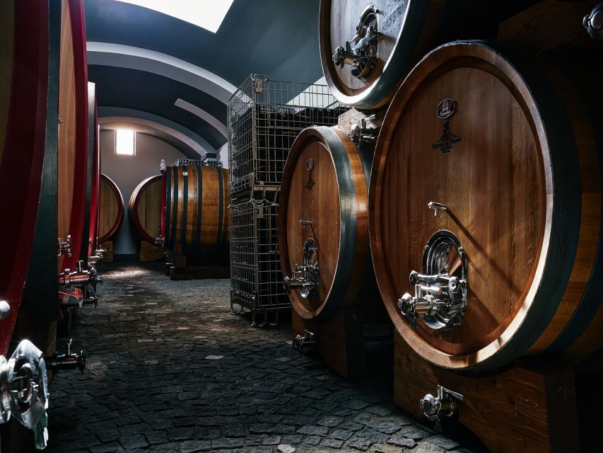 From Naples: Wine Tasting Tour on Vesuvius Slopes With Lunch - Key Points