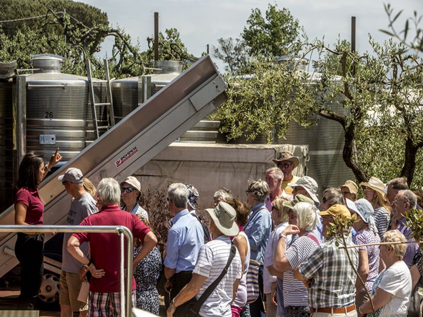 From Naples: Wine Tasting Tour on Vesuvius Slopes With Lunch - Tour Details