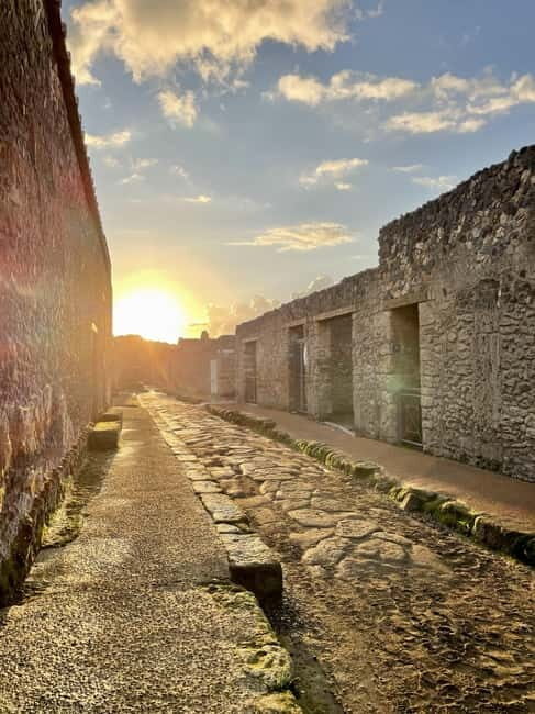 From Napoli: Driver and Skip the Line Guided Tour of Pompeii - The Sum Up