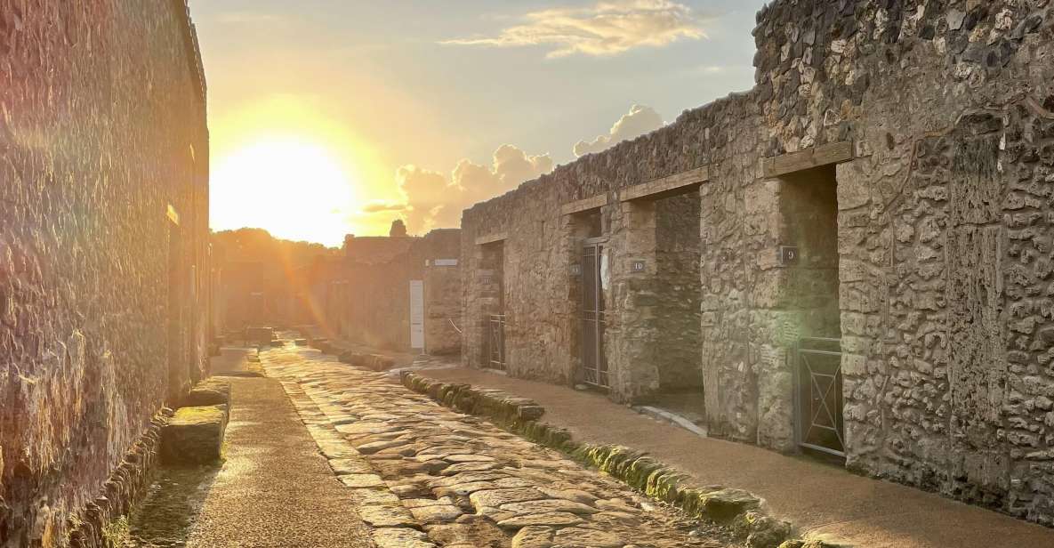 From Napoli: Guided Tour of Pompeii With Driver From Naples - Highlights