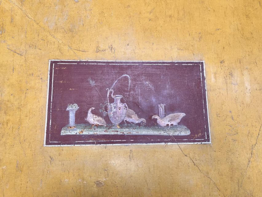From Napoli: Guided Tour of Pompeii With Driver From Naples - Important Information