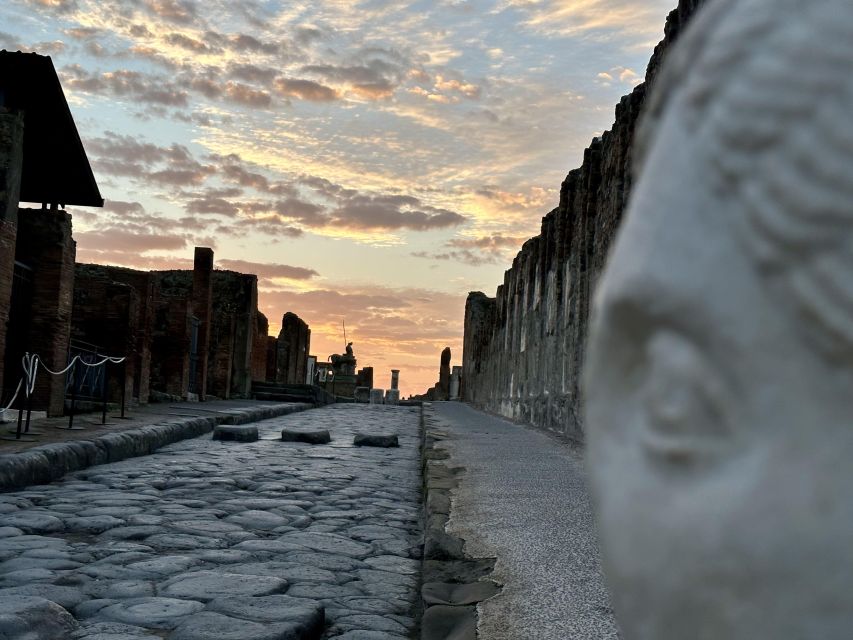 From Napoli: Guided Tour of Pompeii With Driver From Naples - Transportation to Pompeii
