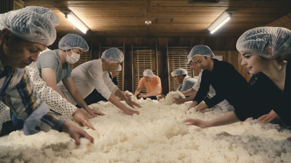 From Narita Airport: Layover Tour to Sake Brewery Gastronomy - Highlights of the Tour