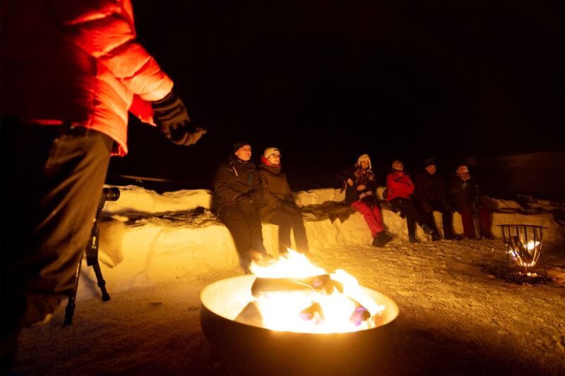 From Narvik: The Northern Lights Arctic Train Guided Tour - An Honest Look at the Experience